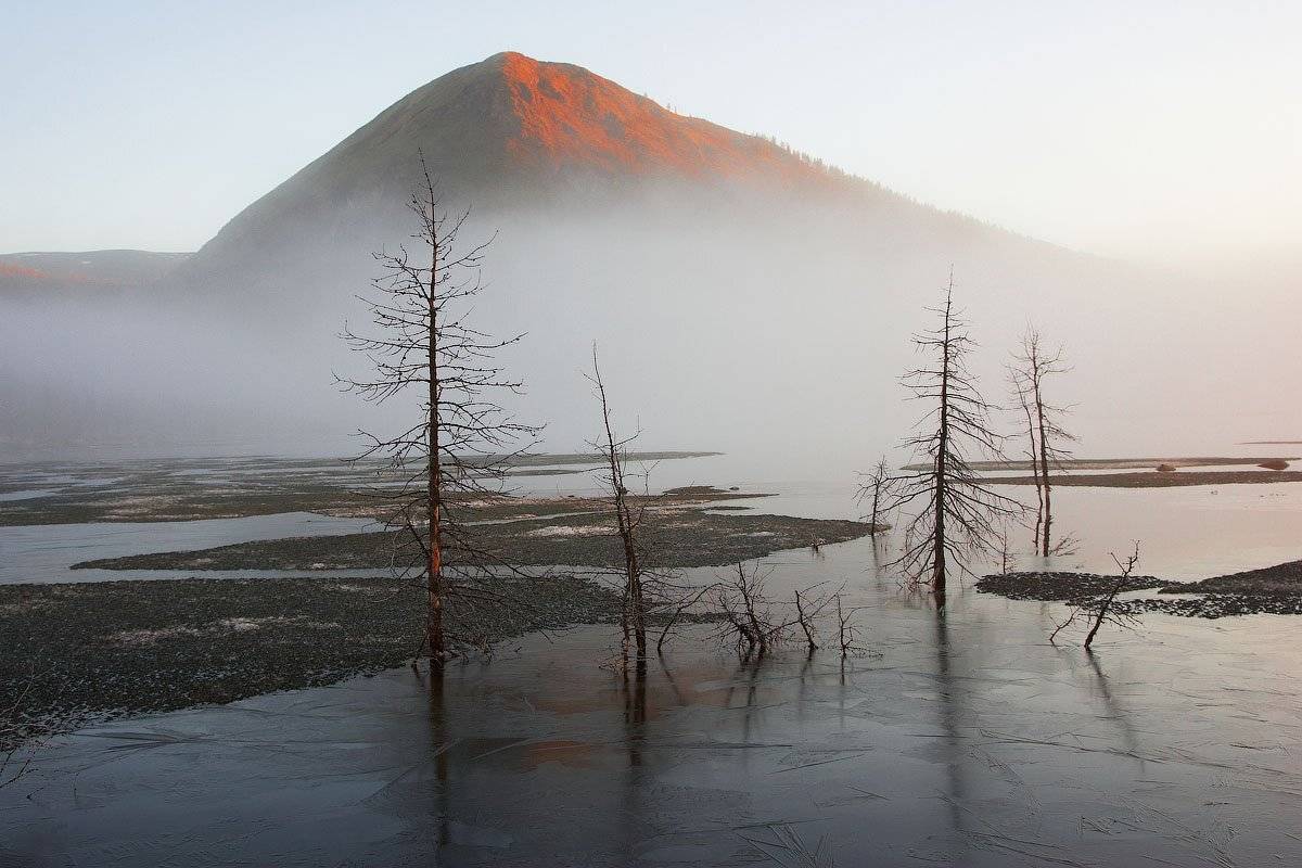 , Владимир Сковородников