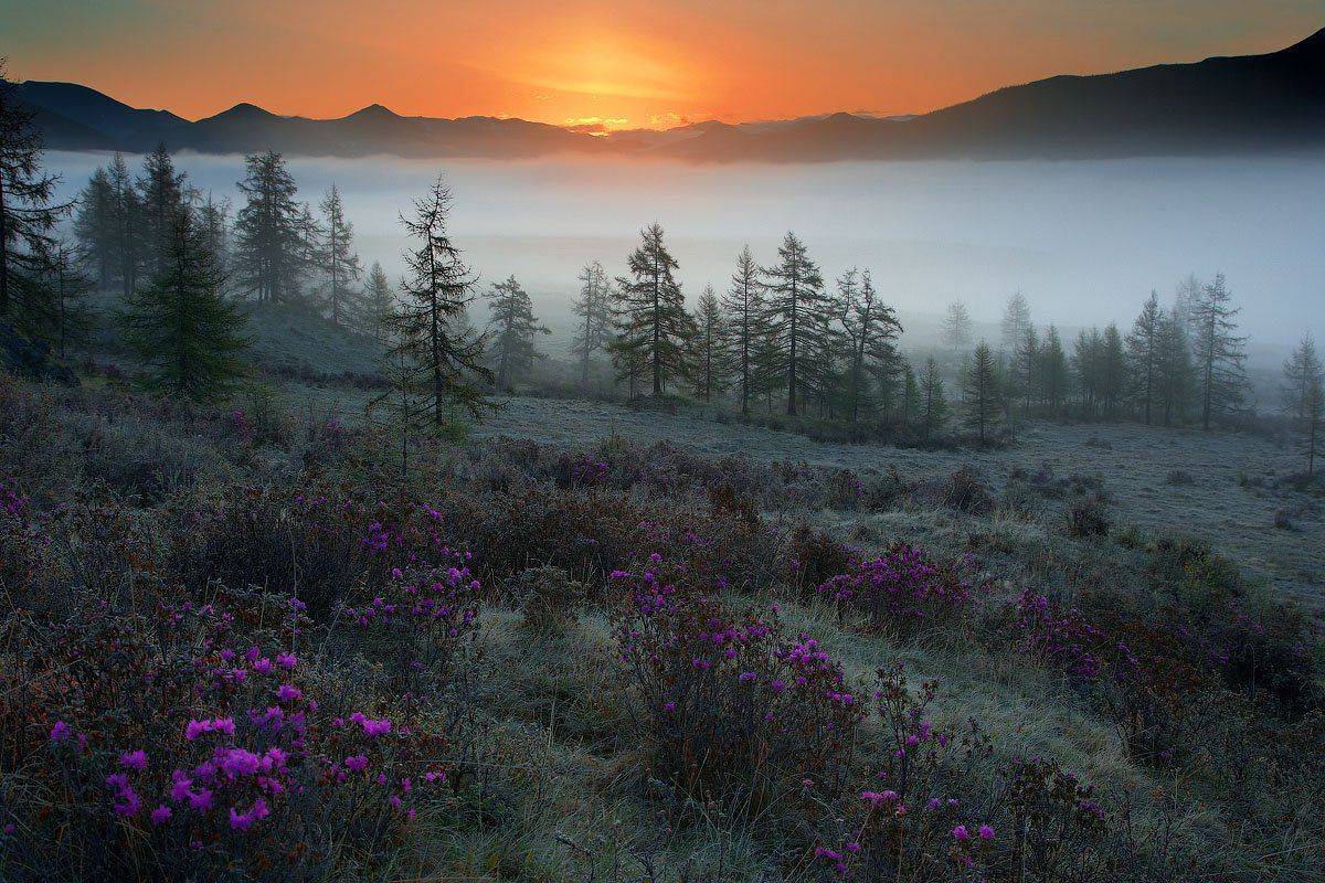 , Владимир Сковородников