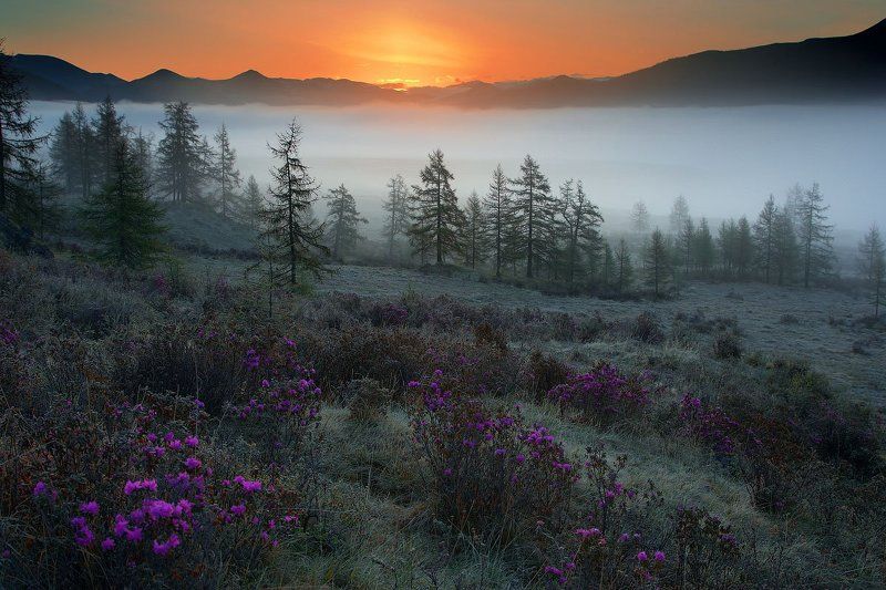 Рассвет фото превью