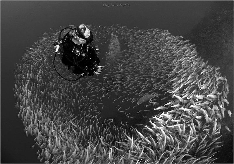 Черно-белый \