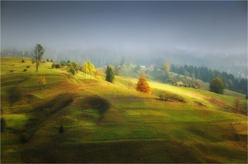 Золото на сером... фото превью