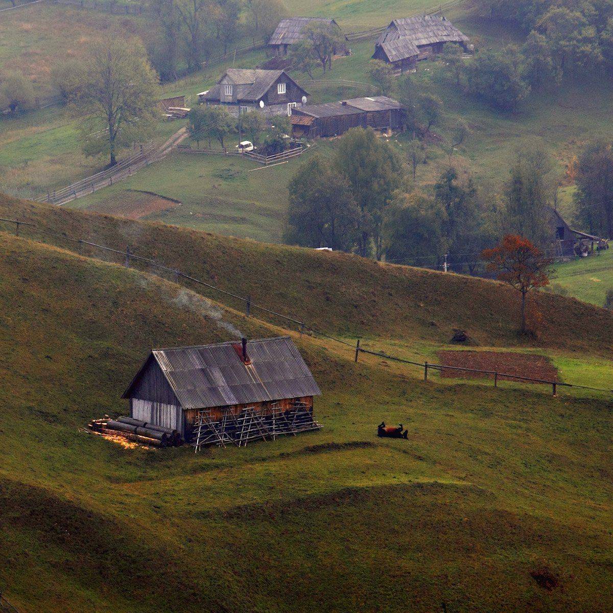 , Михаил Глаголев
