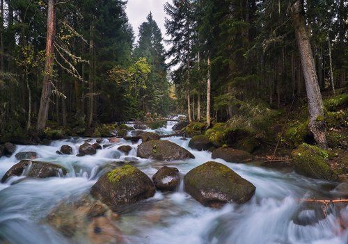 Здесь чудеса, но леший здесь не бродит, русалку тоже не нашли