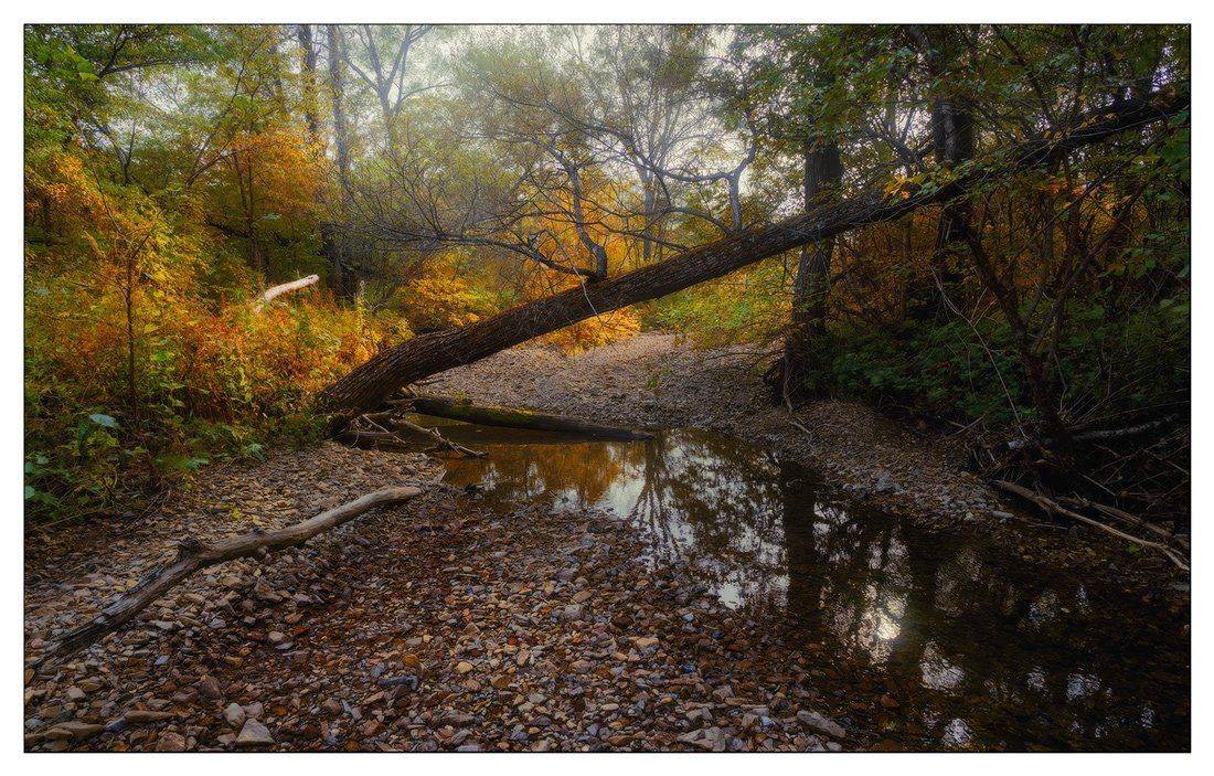 , Андрей Кровлин