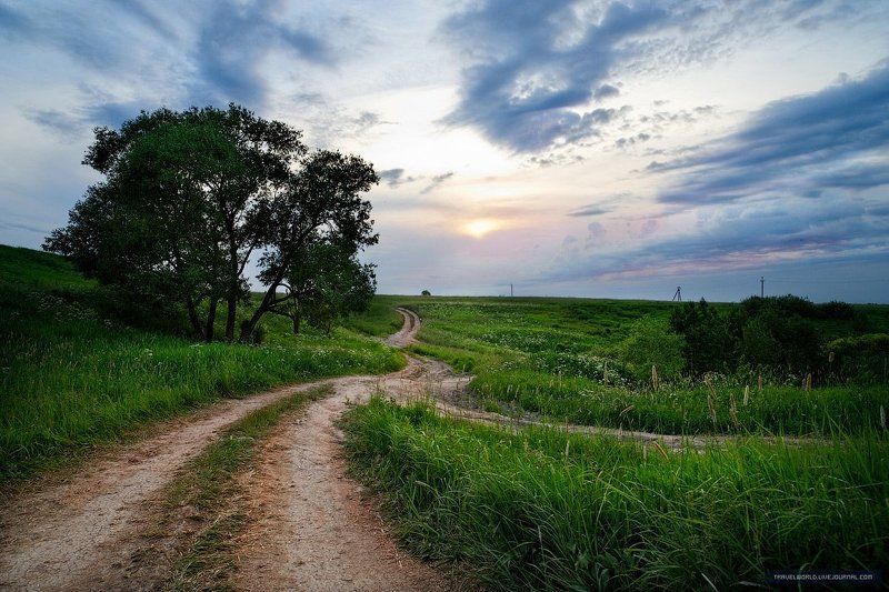 пейзаж, дорога Russian way фото превью