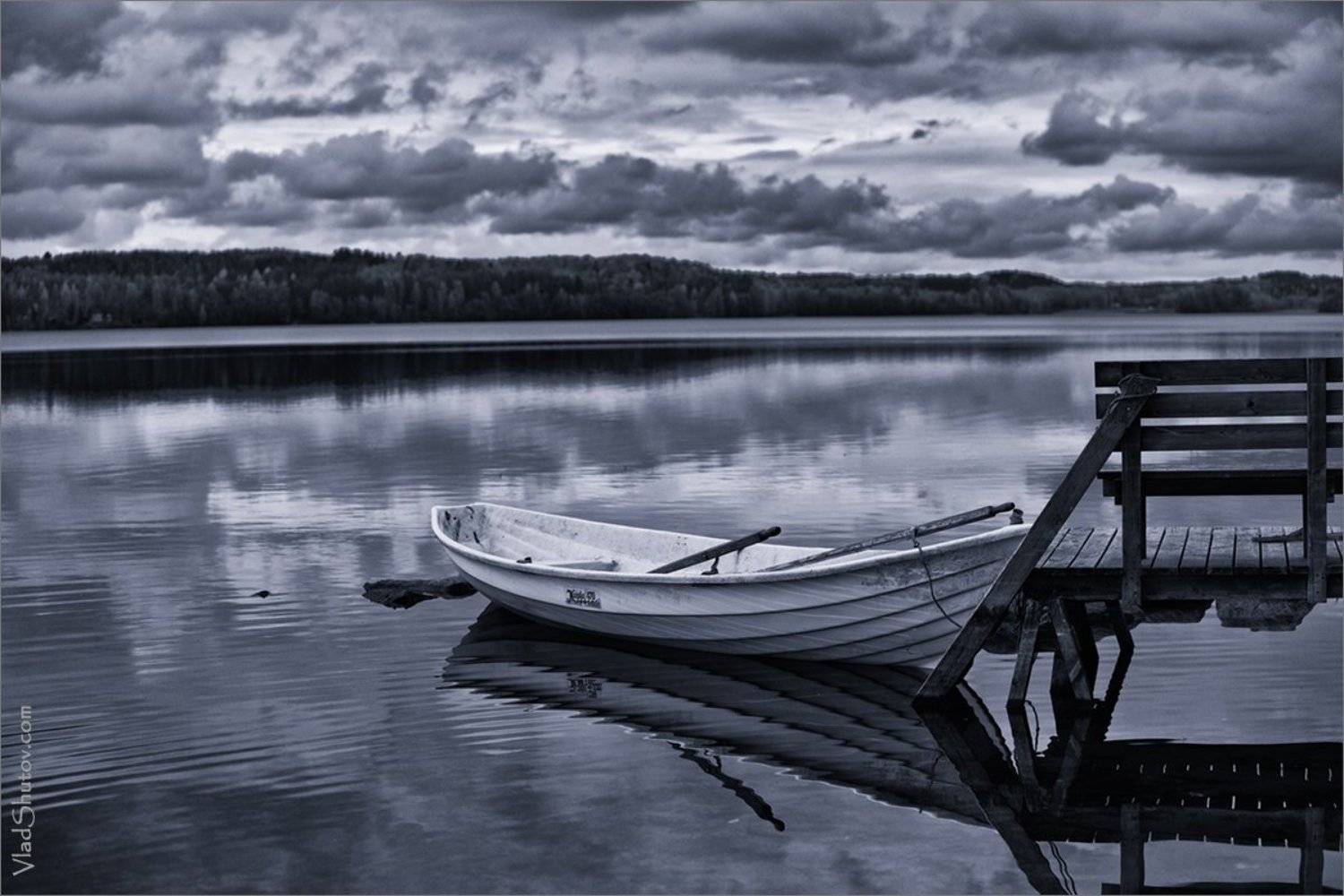 , Влад Шутов