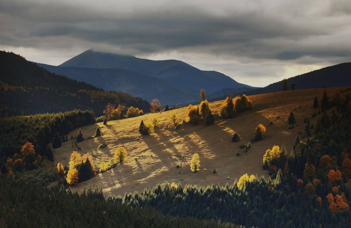 , Михаил Глаголев