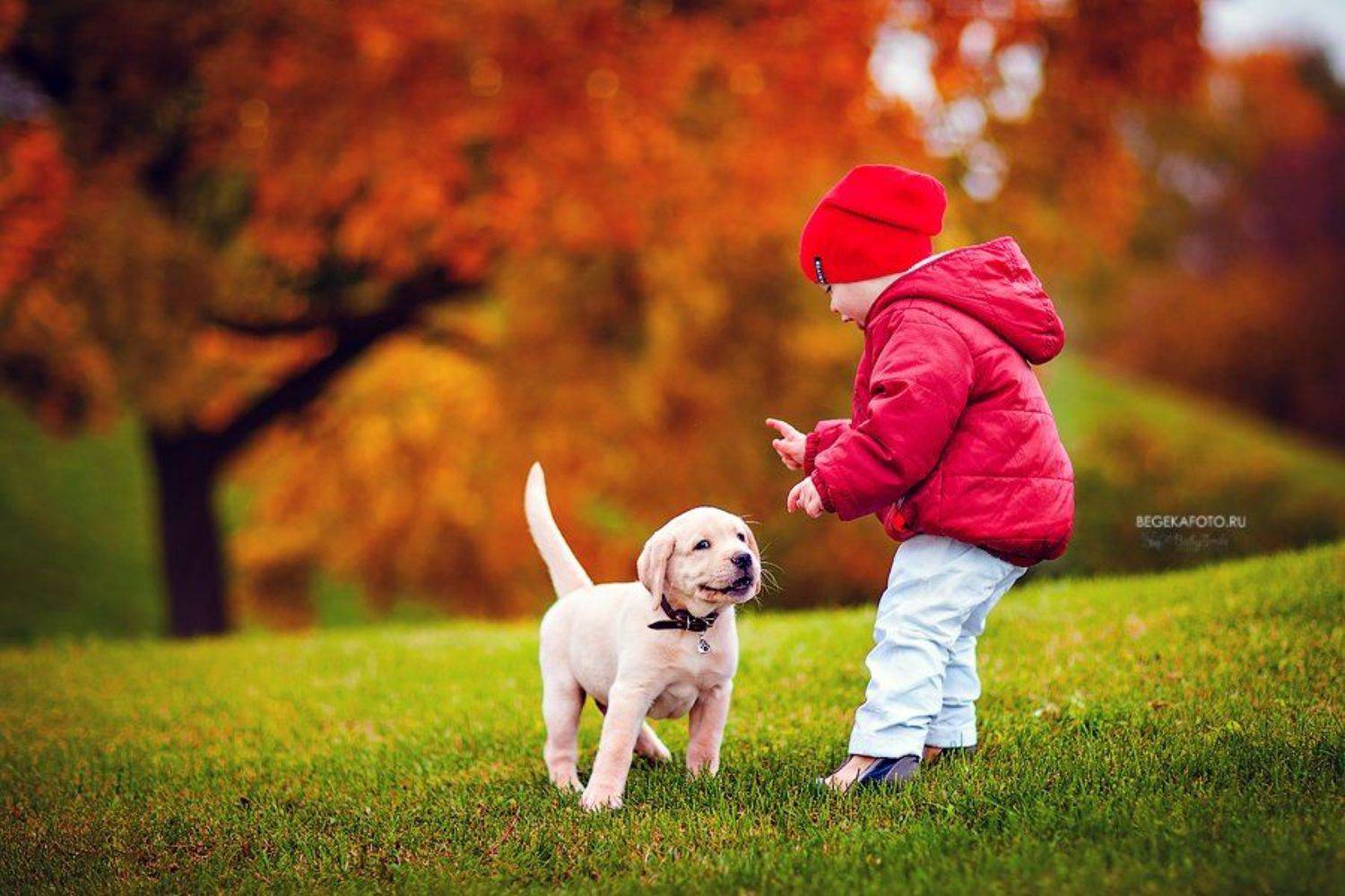 , Бегека Наталья