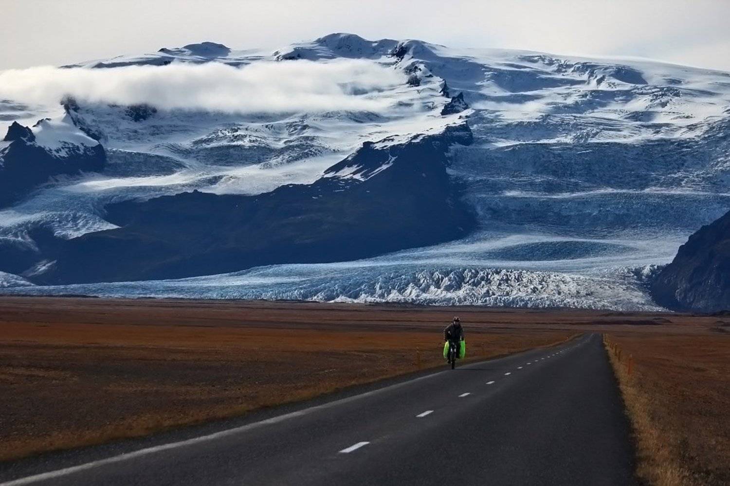 , Елена Горохова