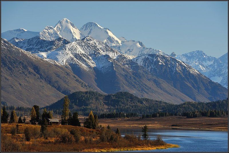 Белуха осенняя фото превью