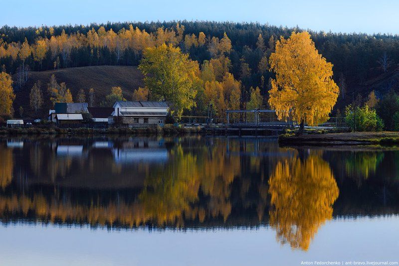 золотая, осень, отражения Autumn reflections II фото превью