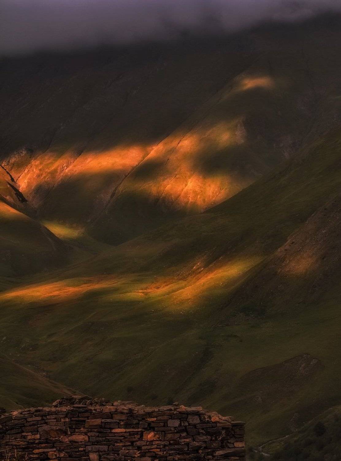 , Гамидов Мурад