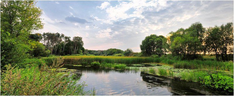 Вечер с карамельным оттенком фото превью