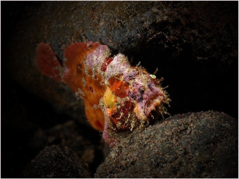 *** фото превью