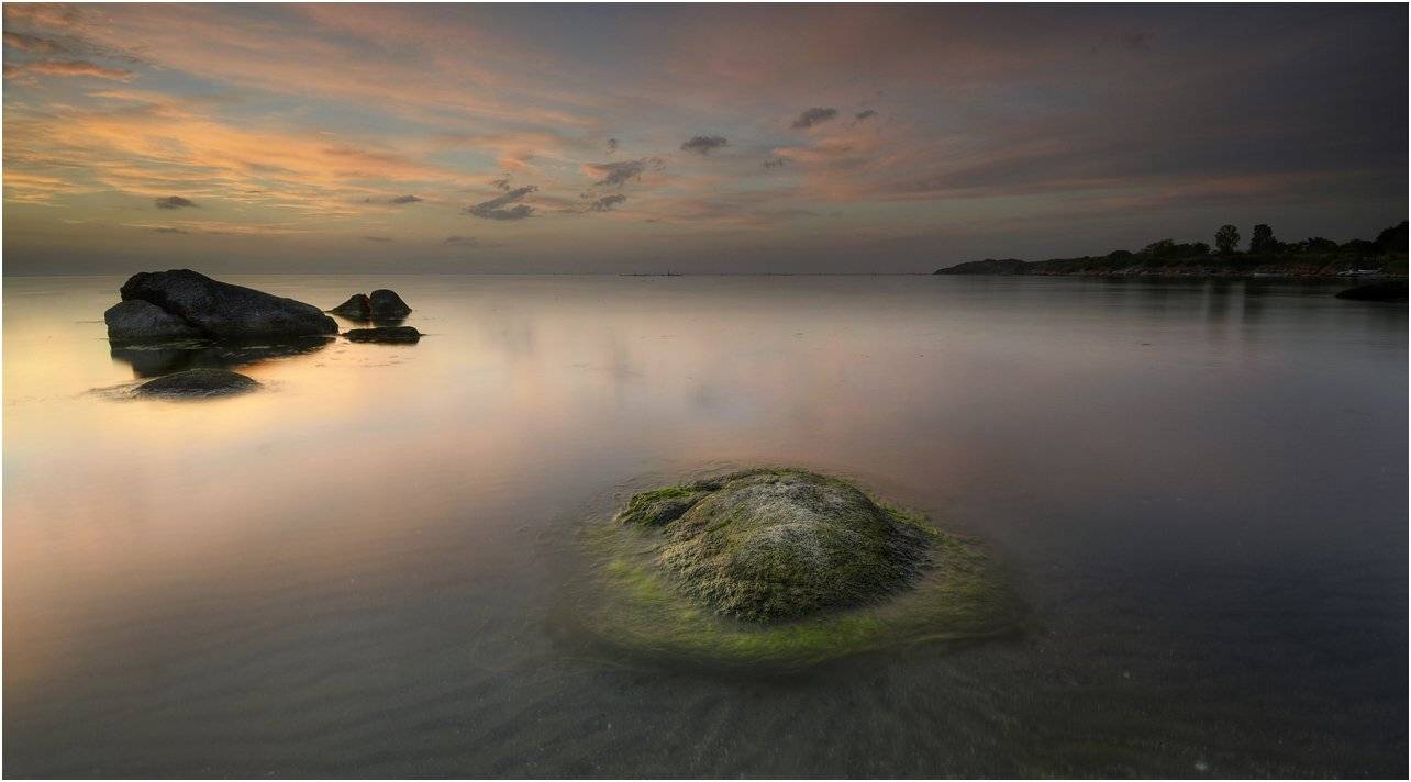 , Румен Паисиев