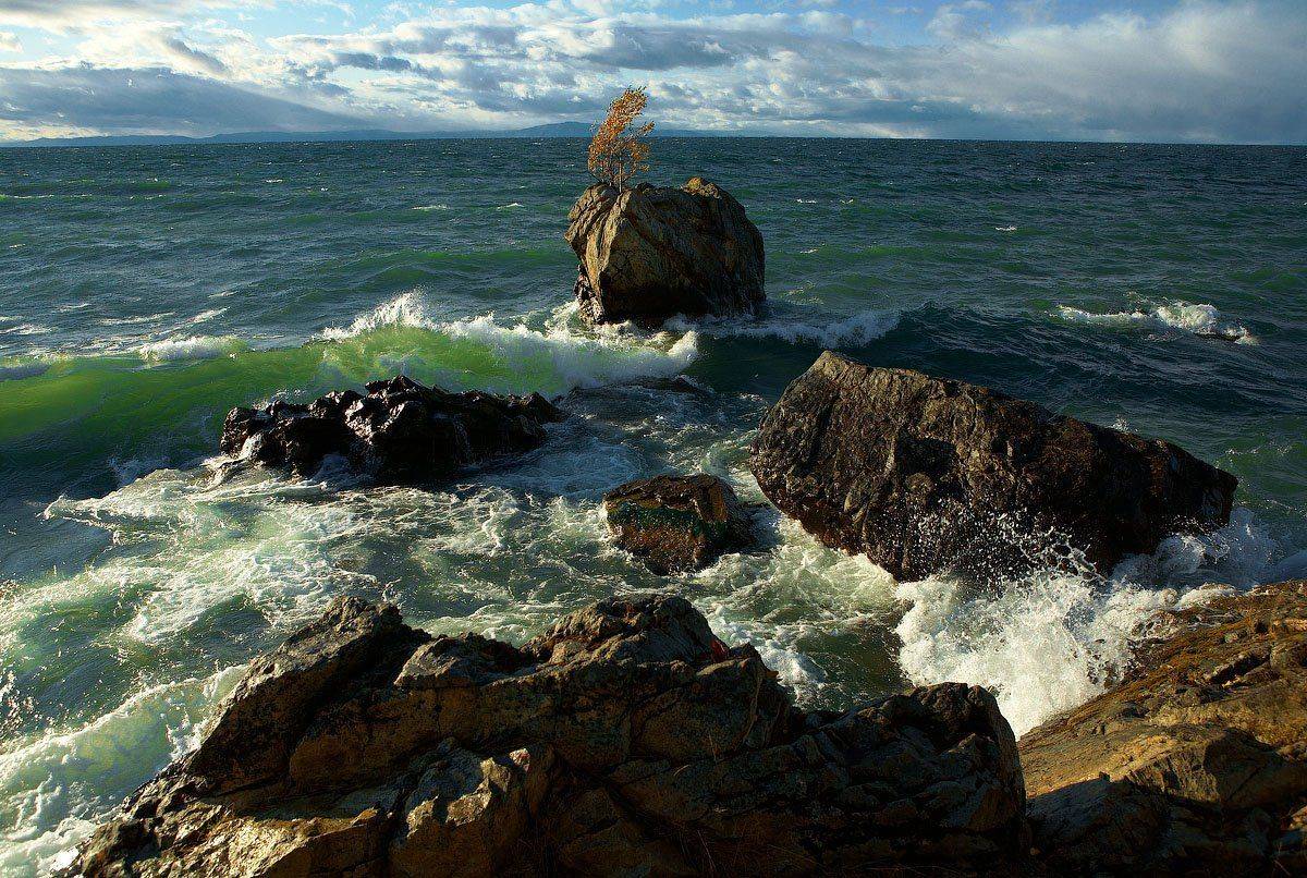 , Владимир Сковородников