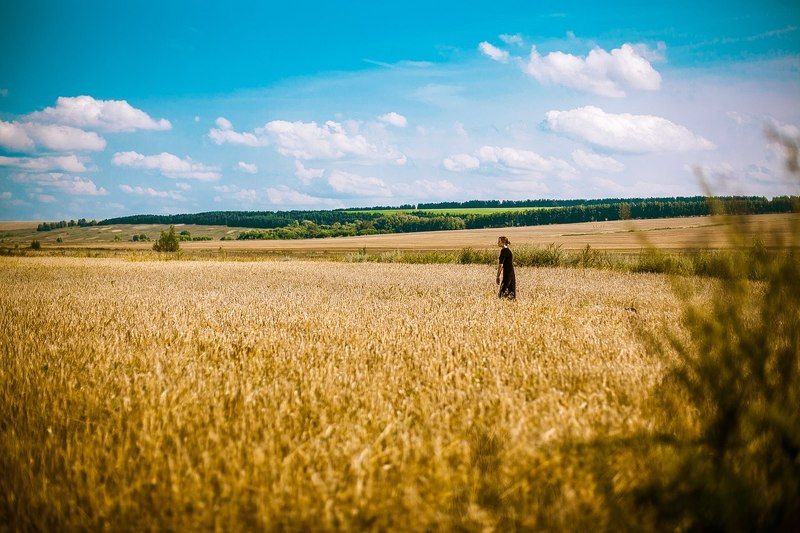 Свобода фото превью