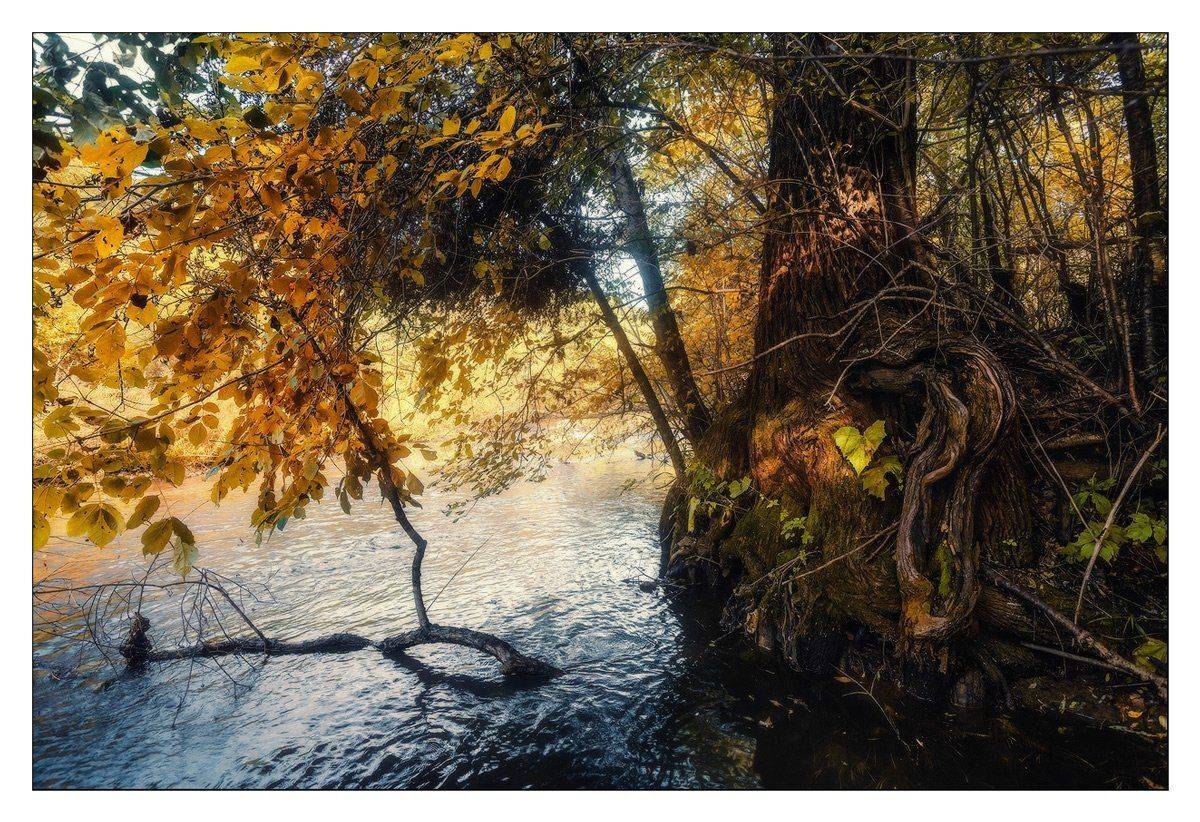 , Андрей Кровлин