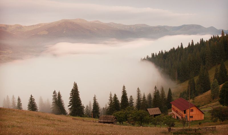 Молочные реки... фото превью