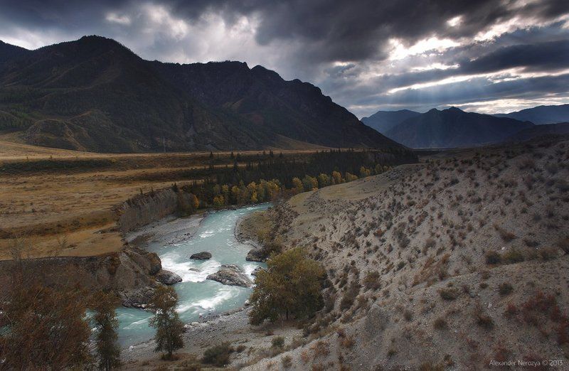 Чуя фото превью