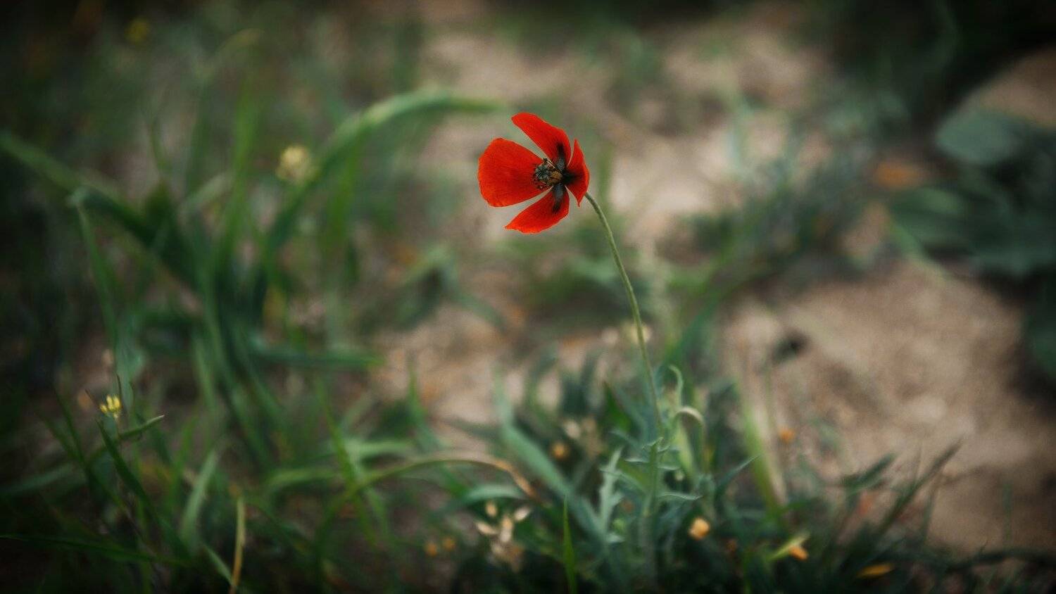 , Олег Логунов