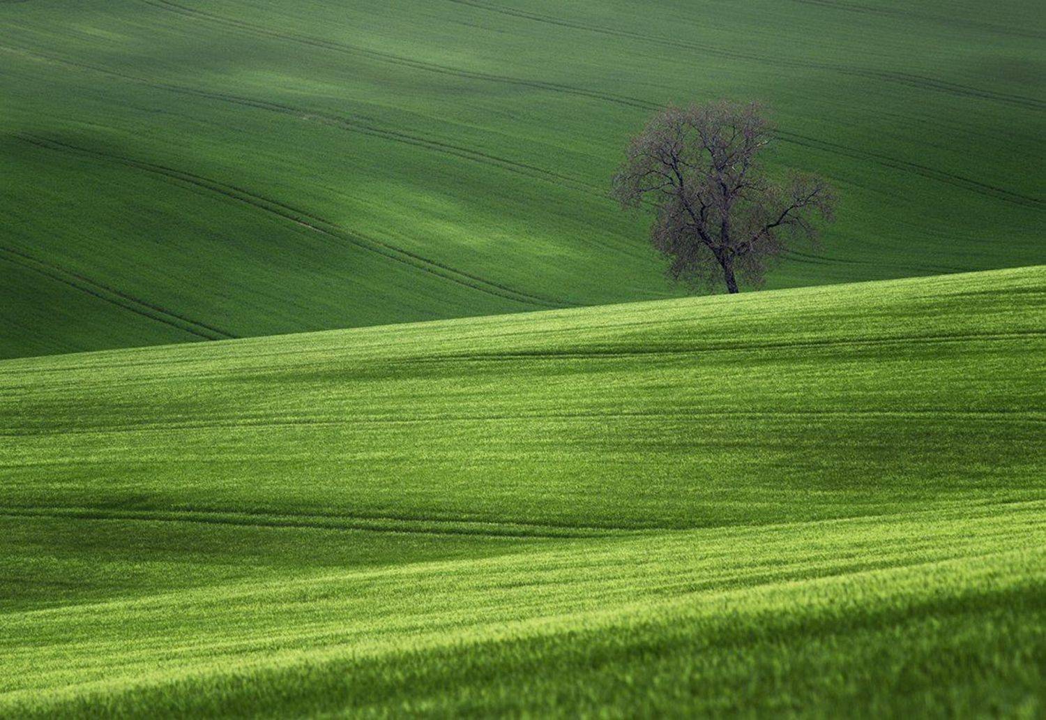 , Danny Vangenechten