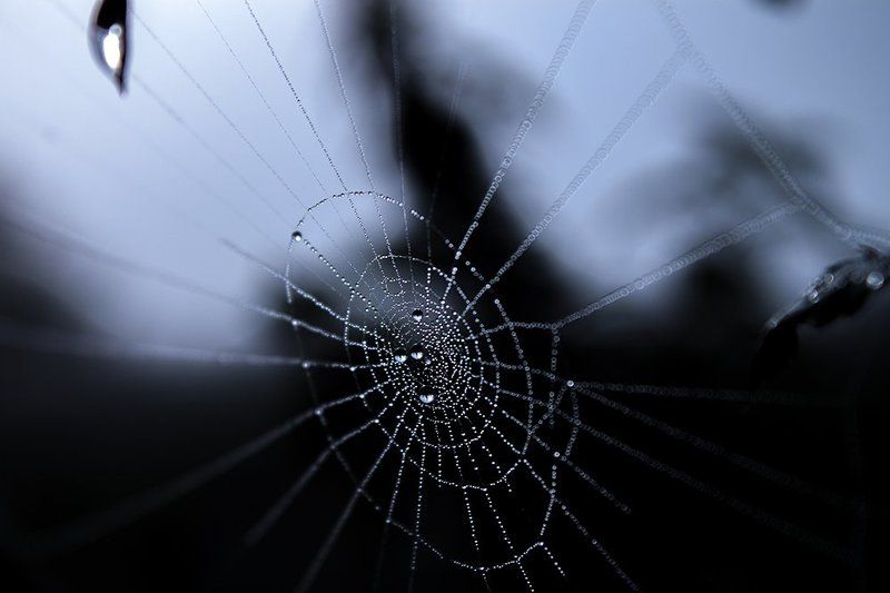 * фото превью