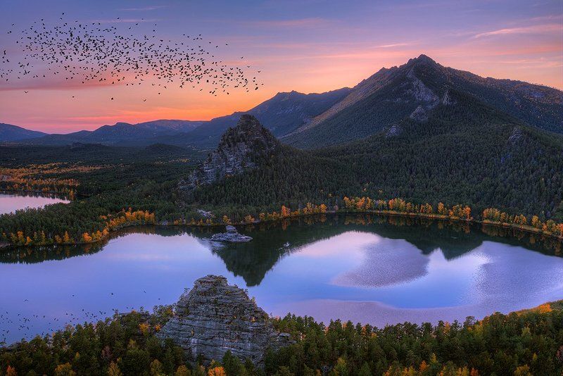 щучье, боровое Пора на Юг... фото превью