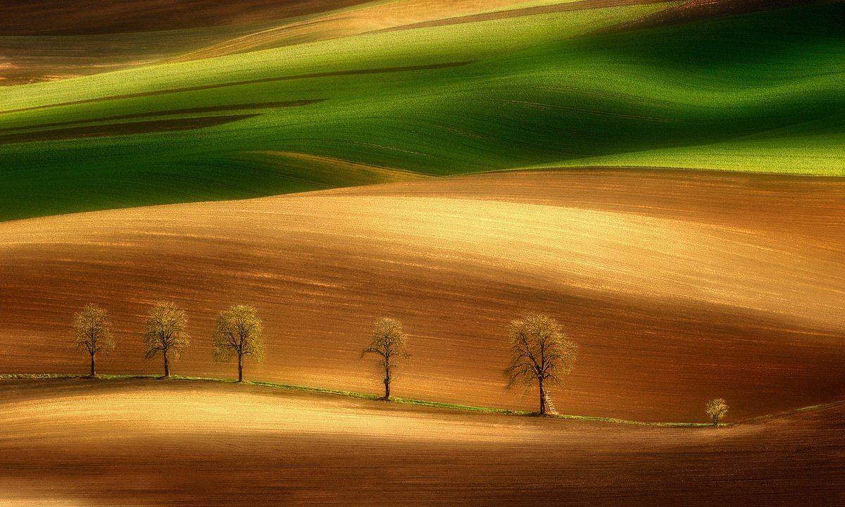 , Pawel Kucharski