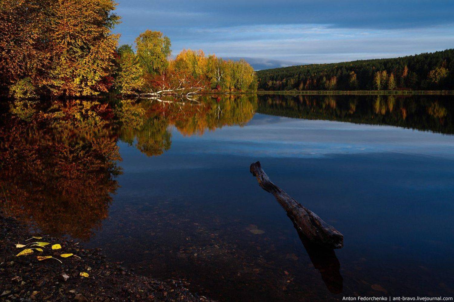 золотая, осень, отражения, средний урал, Anton Fedorchenko