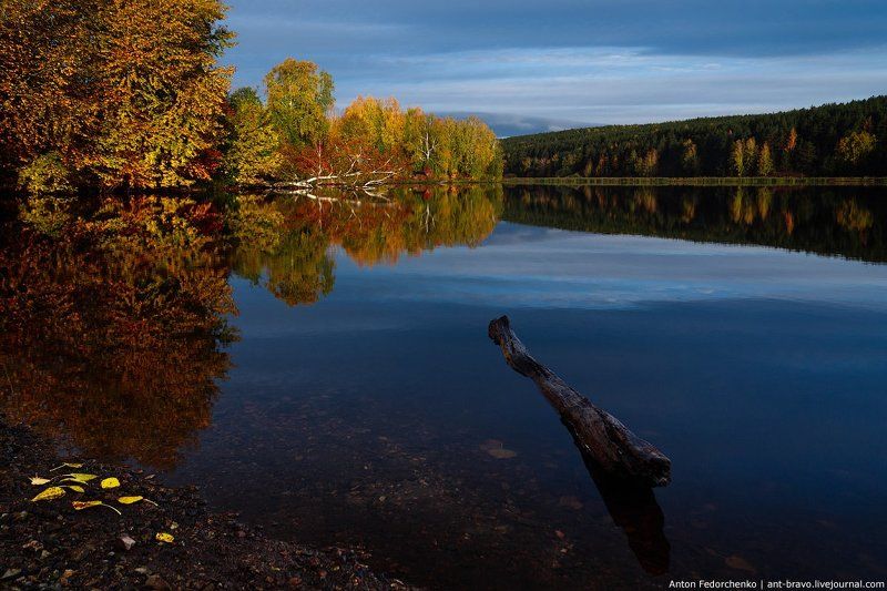 золотая, осень, отражения, средний урал Autumn reflections III фото превью