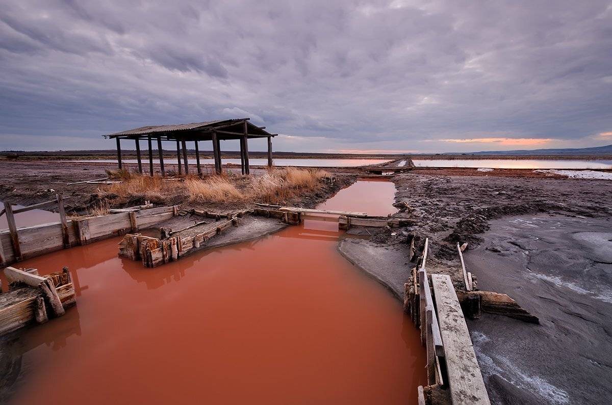 , Милен Добрев