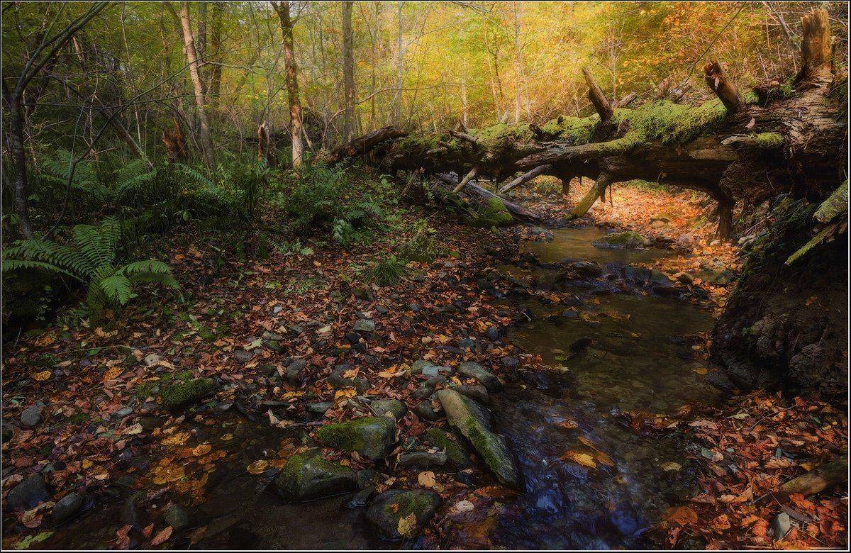 , Андрей Кровлин