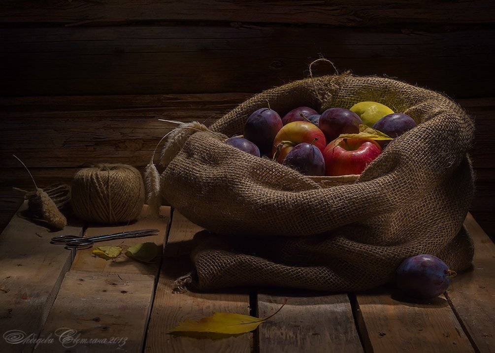 , Светлана Л.