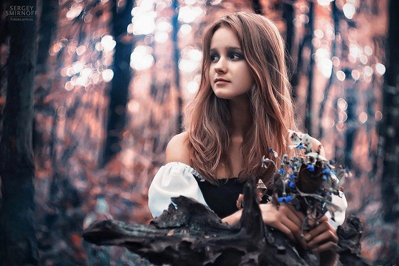 forest фото превью