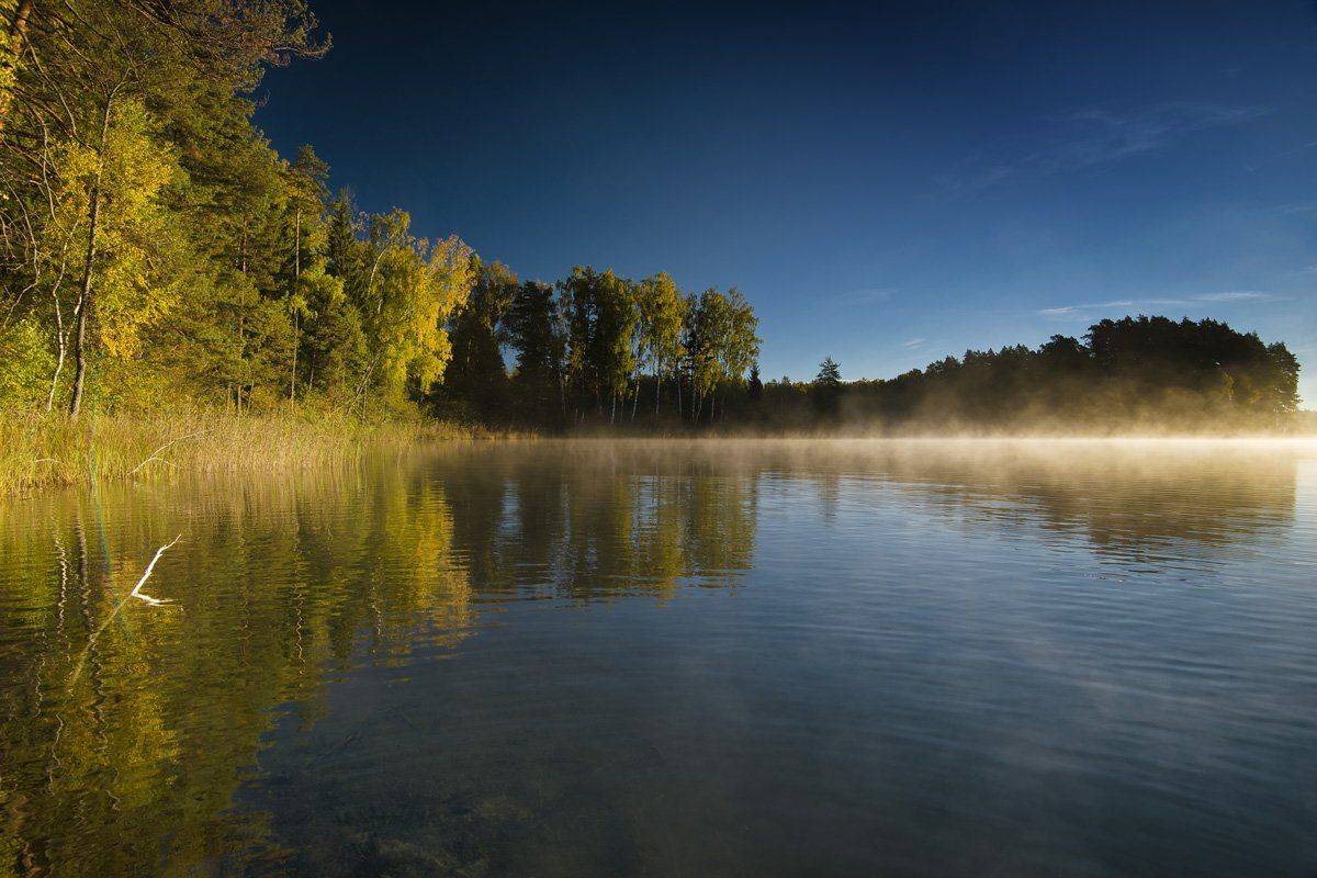 , Rimantas Bikulcius