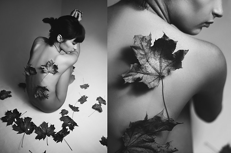 Домашняя осень фото превью