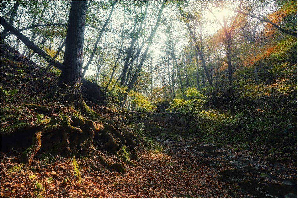 , Андрей Кровлин