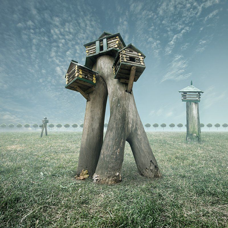 boardinghouse фото превью