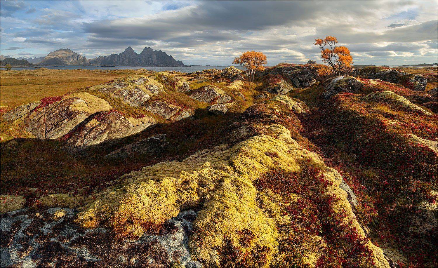 норвегия, лофотены, Yury Pustovoy (artphoto-tour.com)