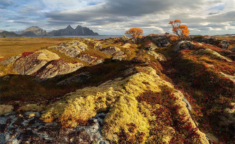 норвегия, лофотены Северная осень  II (Норвегия) фото превью