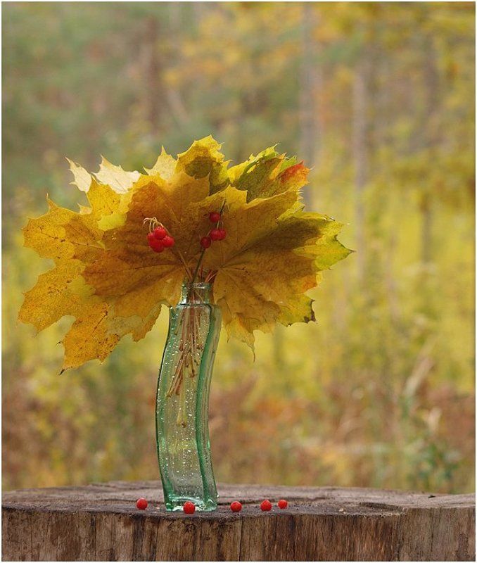 Осенняя акварель фото превью