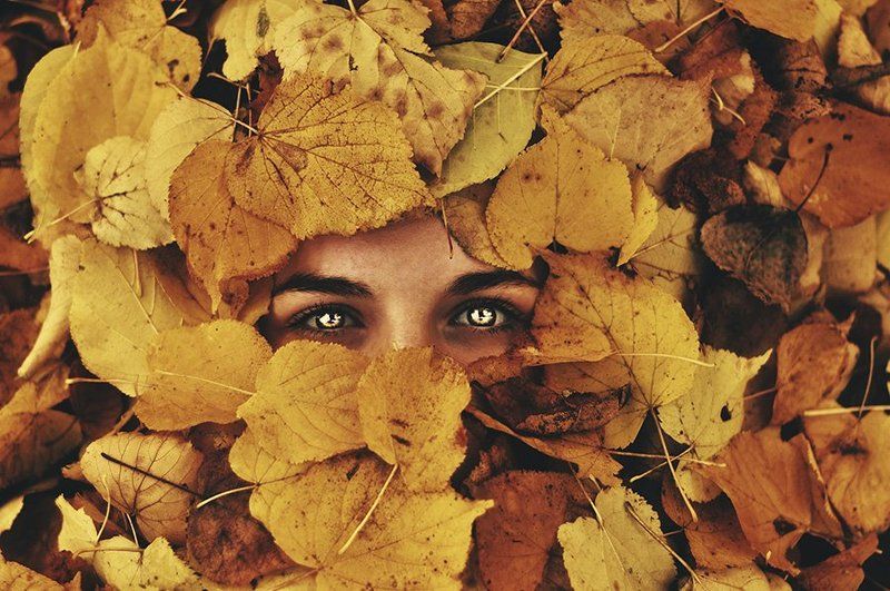 Autumn, Eyes, Face, Portrait, Глаза, Листья, Лицо, Осень, Портрет, Портрет девушки Осень пришла фото превью