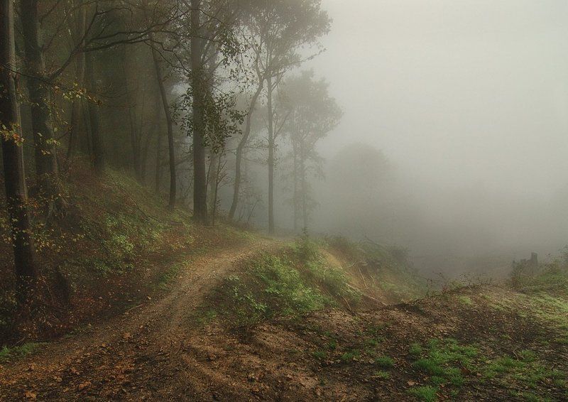 Осенний туман фото превью