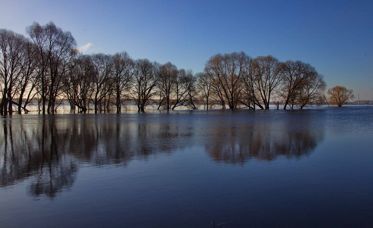 , Валерий Кондратов