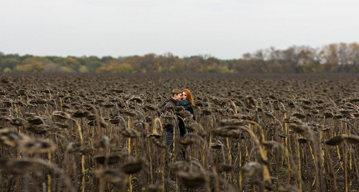 , Меркулов Антон