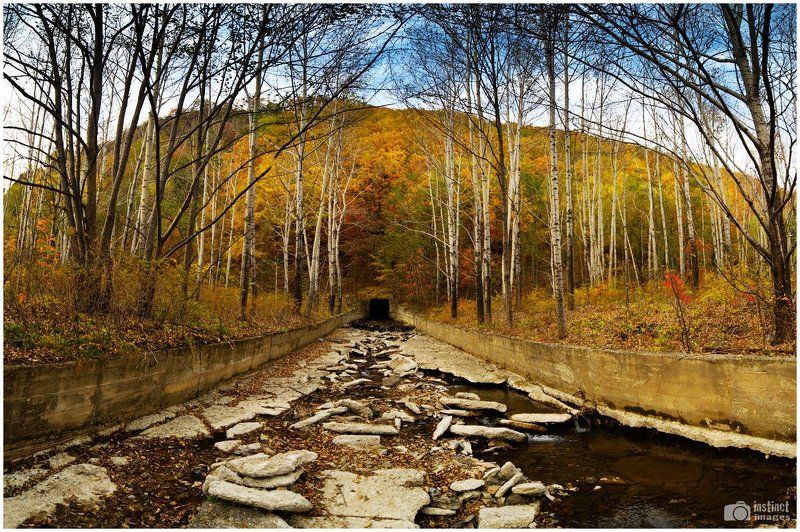 Road to ... фото превью