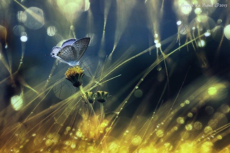 aLone .., фото превью