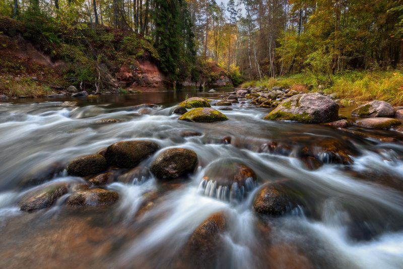 как камни выглядывали на осень посмотреть фото превью