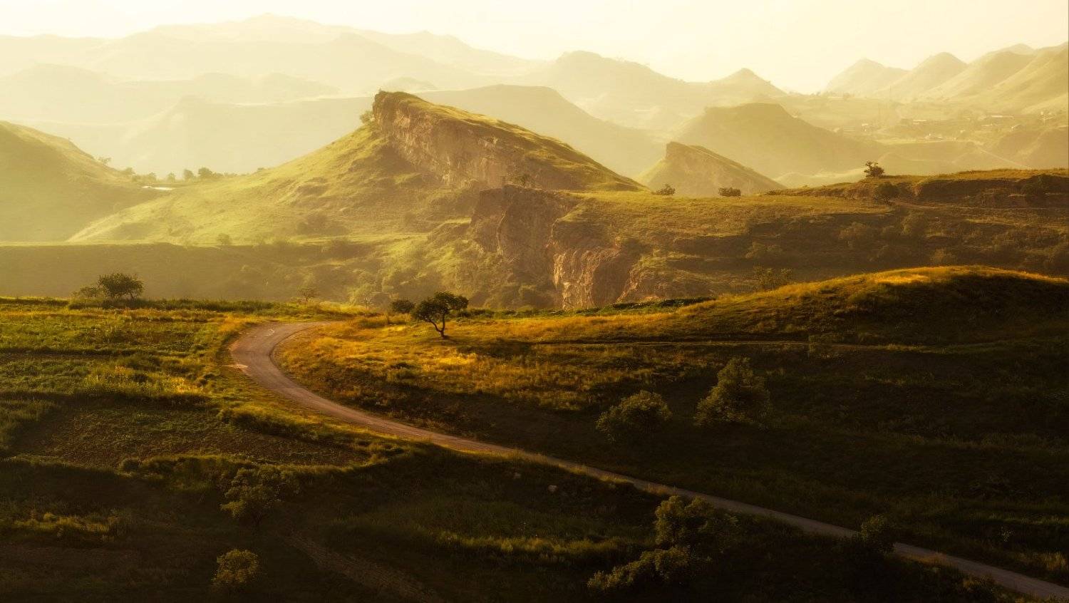 , Гамидов Мурад